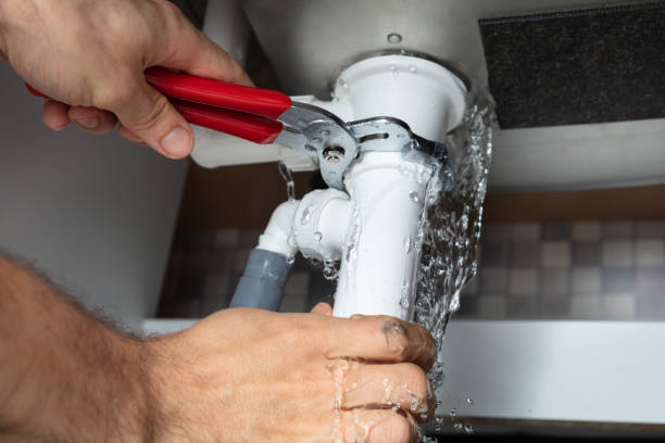 Best Fire Damage Restoration  in San Carlos Park, FL