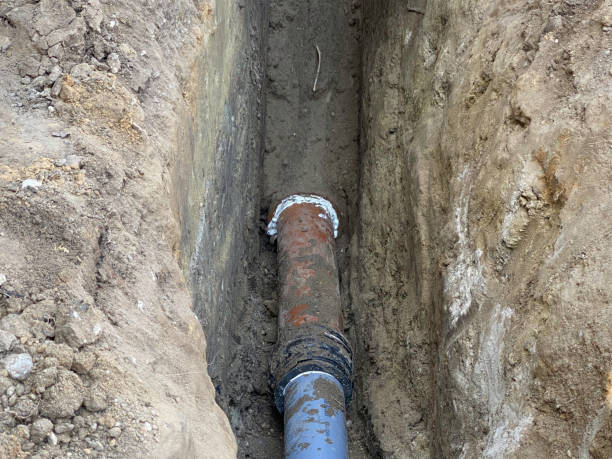 Best Basement water damage restoration  in San Carlos Park, FL
