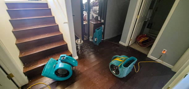 Best Mold removal after water damage  in San Carlos Park, FL