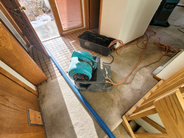 Water damage restoration insurance claims in FL