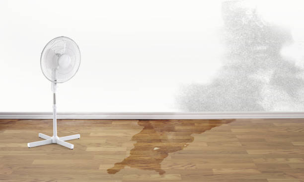 Best Commercial water damage restoration  in San Carlos Park, FL