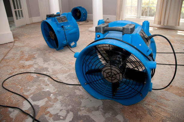 Best Professional water damage repair  in San Carlos Park, FL