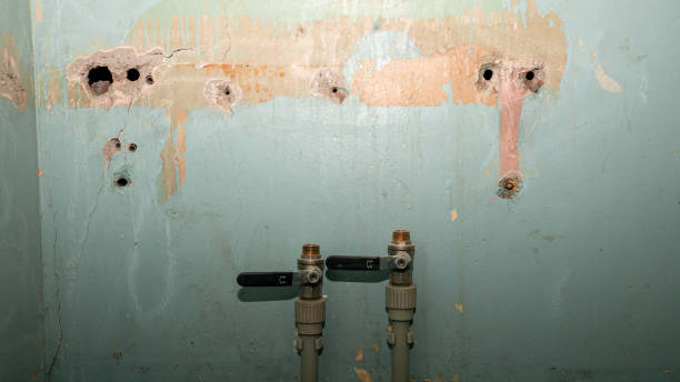 Best Flood restoration services  in San Carlos Park, FL