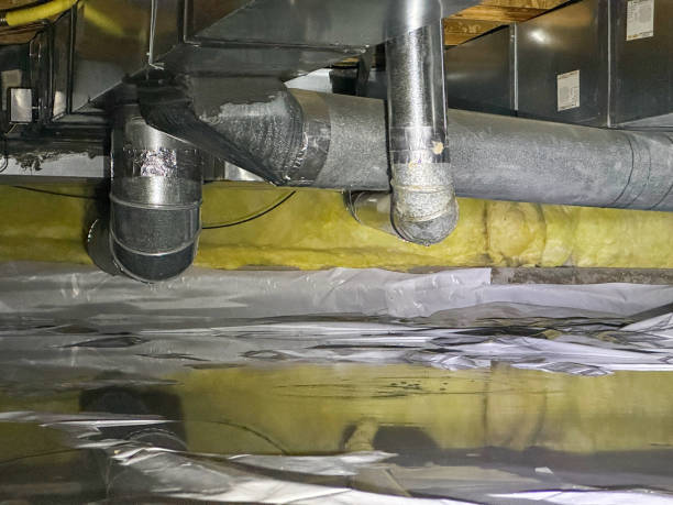 Best Water damage restoration near me  in San Carlos Park, FL
