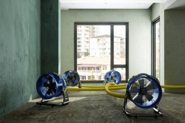  San Carlos Park, FL Water damage restoration Pros