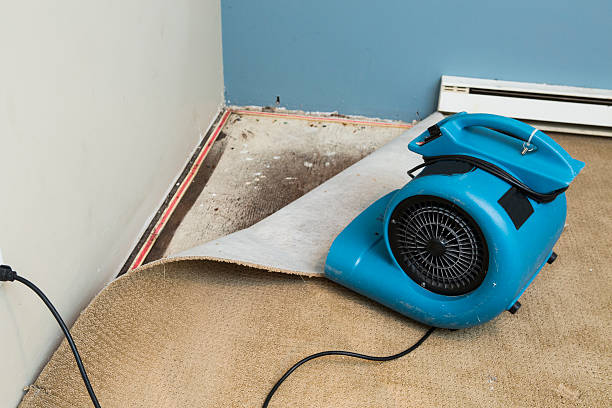 Best Emergency water damage restoration  in San Carlos Park, FL